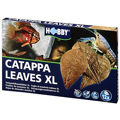 Hobby 51105 Catappa Leaves XL 12PCS