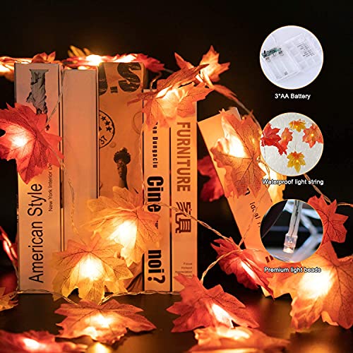 Hojas de Otoño Decoracion, Hoja de Arce Luz Cadenas, 3 M 20 Led Artificial Autumn Maple Leaves para Otoño, Halloween, Navidad, Picnic, Decoración al Aire libre (Red)