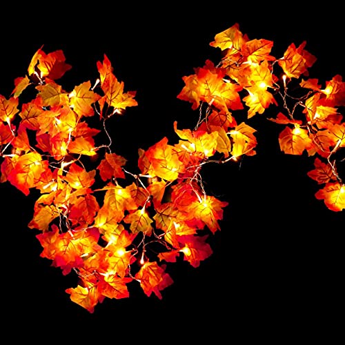 Hojas de Otoño Decoracion, Hoja de Arce Luz Cadenas, 3 M 20 Led Artificial Autumn Maple Leaves para Otoño, Halloween, Navidad, Picnic, Decoración al Aire libre (Red)