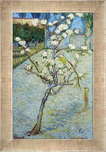 Kunst für Alle ' – Fotografía enmarcada de Vincent Van Gogh Peral en Flor, de impresión handgefertigten imágenes de Marco, 30 x 40 cm, Plata Raya