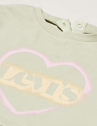 Levi's Kids Baby Girl's Lvg Ruffle Top Denim Set Pants, Desert Sage, 6 Months