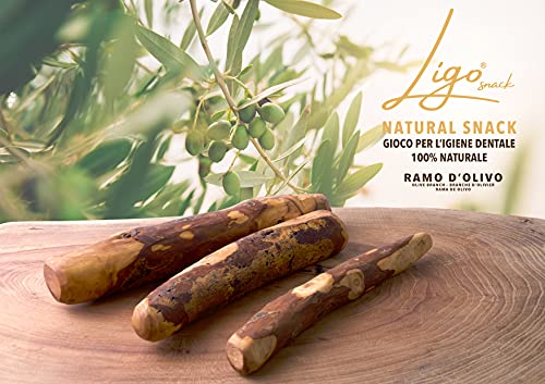 Ligo - rama de olivo, juguete mordidor para perros, 100 % natural, ideal para la higiene dental (S 60-99 g)