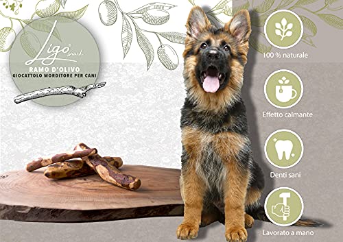 Ligo - rama de olivo, juguete mordidor para perros, 100 % natural, ideal para la higiene dental (S 60-99 g)