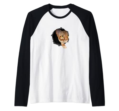 Lindo gato mirando a través del agujero Feline Kitty Pet Cub Camiseta Manga Raglan