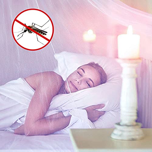 Mosquitera Cama, Mosquitera para Individual y Doble, Cama con Dosel Cortina de Dosel, Cortina de Cama con cúpula Transparente Universal Princess Mosquito Net para el hogar y los Viajes,Morado