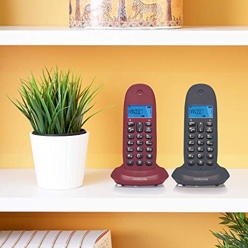 MOTOROLA Telefono fijo inalambrico digital DECT C1002GW Pack Duo - Color Gris y violeta - 2 unidades