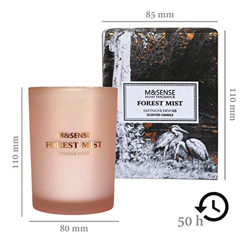 M&Sense - Vela aromática con aroma de niebla del bosque, 100% materias primas naturales, hecha a mano con 250 g de cera de soja, aromaterapia, 50 horas de combustión, caja de regalo