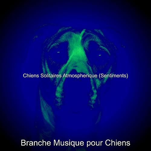 Musique De Fond - Dresser votre Chien Belle