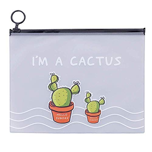 N-K Bonito estuche transparente esmerilado para lápices de cactus, neceser para maquillaje, diseño bonito