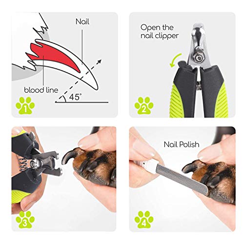 Nobleza Cortauñas Perro y Gato con Mascota Protector de Seguridad para Evitar Cortes excesivos, Acero Inoxidable Alicates Uñas Profesionales para Mascotas Perros, Gatos, Conejas （4.5 * 13cm