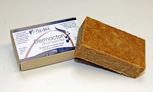 Petnat Dermacton - Champú para perro para piel irritada con ITCHY | Alivio natural de la picazón, antibacteriano y antifúngico, ideal para pieles sensibles y secas, recomendado profesionalmente