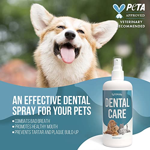 Petsly Spray Dental Perros y Gatos con Hierbabuena - Enjuague Bucal Perros para Mal Aliento de Perros - Spray Anti Sarro Orgánico para Mal Olor Boca Perro - Alternativa a Cepillo Dientes Perro, 100ml