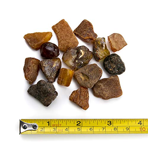 Piedras de ámbar en bruto, de Amber Culture | resina de ámbar báltico, auténtica y natural. Lote aleatorio