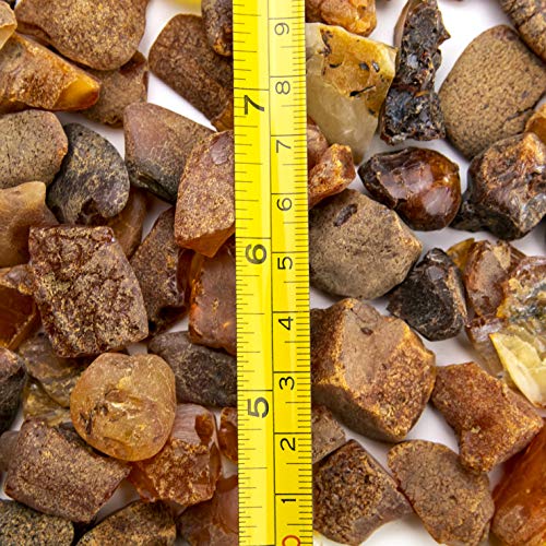 Piedras de ámbar en bruto, de Amber Culture | resina de ámbar báltico, auténtica y natural. Lote aleatorio