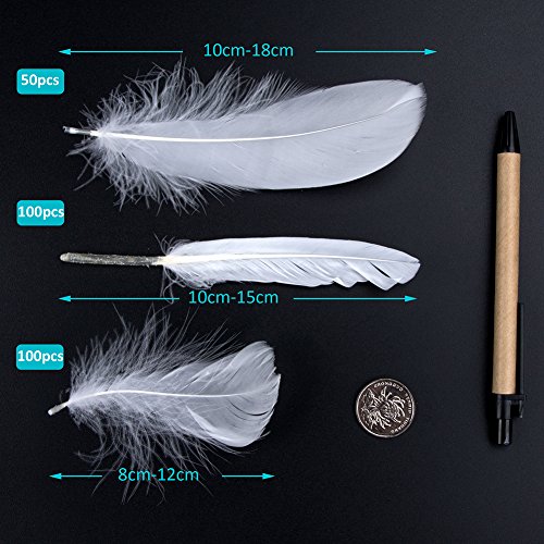 Plumas de Ganso, 250 pcs Blanco Natural Plumas de Gallo Manualidades Decoración para Disfraces Hats, Hogar Bricolaje, Ropa Casa Fiesta (accesorio de disfraz)