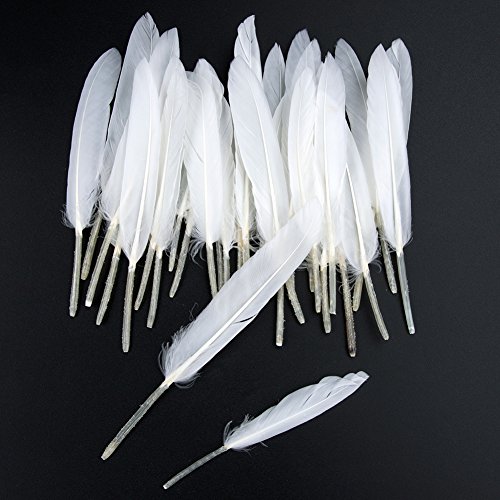 Plumas de Ganso, 250 pcs Blanco Natural Plumas de Gallo Manualidades Decoración para Disfraces Hats, Hogar Bricolaje, Ropa Casa Fiesta (accesorio de disfraz)