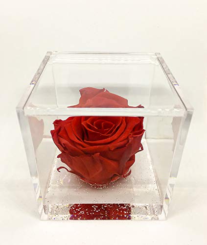 Premium-Rose - Rosa roja estabilizada en cubo transparente - Cubo con una auténtica y verdadera rosa que dura incluso más de 5 años