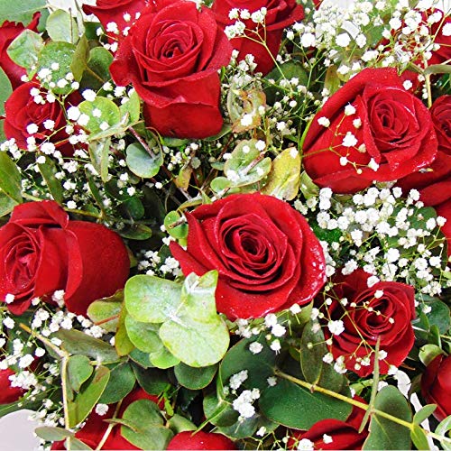 Ramo de 18 Rosas Rojas Naturales - Entrega EN 24 Horas -Flores Frescas - DEDICATORIA incluida