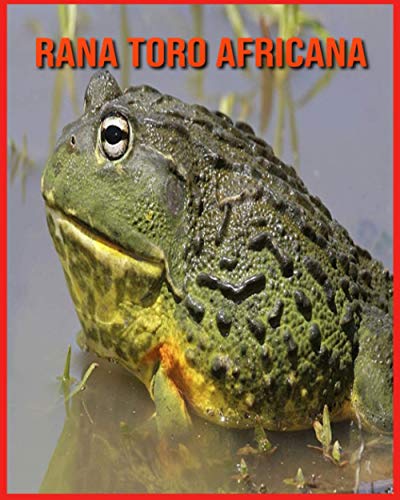 Rana Toro Africana: Immagini stupende e fatti divertenti sugli animali della natura