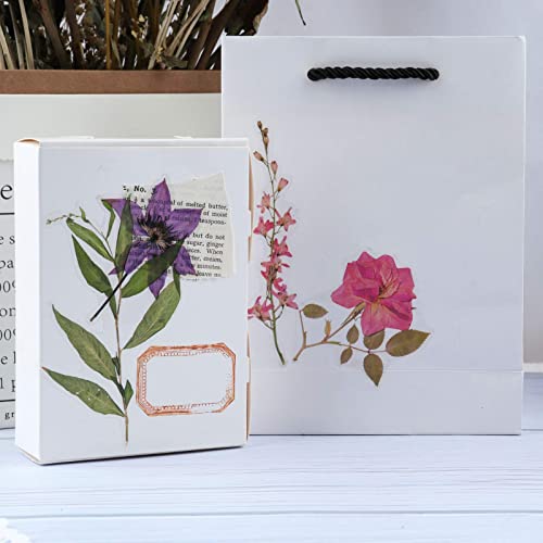 RisyPisy 160 Piezas Naturales Pegatinas, Florales y Plantas Stickers, Varias Pegatinas de Formas Especiales para Manualidades, Bullet Journal, Cuadernos, Portátiles, Teléfonos Móviles, Calendarios