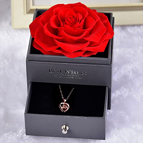 Roqueen Rosa Eterna, Rosa Preservada con Collar Verdadera Rosa Siempre, Regalos para día de San Valentín Día de la Madre Boda Aniversario Cumpleaños para Novia Esposa Madre (Una Rosa)