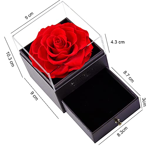 Roqueen Rosa Eterna, Rosa Preservada con Collar Verdadera Rosa Siempre, Regalos para día de San Valentín Día de la Madre Boda Aniversario Cumpleaños para Novia Esposa Madre (Una Rosa)