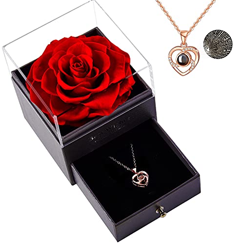 Roqueen Rosa Eterna, Rosa Preservada con Collar Verdadera Rosa Siempre, Regalos para día de San Valentín Día de la Madre Boda Aniversario Cumpleaños para Novia Esposa Madre (Una Rosa)