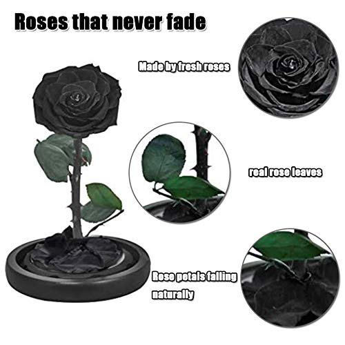 Rosa Eterna Flores Artificiales Decoracion - Conservado en Vidrio Jarron Flores, Lujosa Cúpula de Vidrio con Base de Madera y Caja de Regalo Exquisita, Regalo Cumpleaños Aniversario Bodas San Valentín