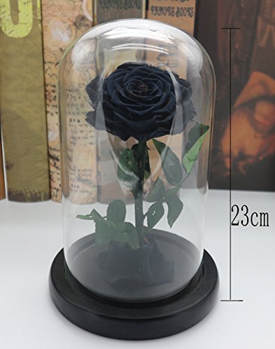 Rosa Eterna Flores Artificiales Decoracion - Conservado en Vidrio Jarron Flores, Lujosa Cúpula de Vidrio con Base de Madera y Caja de Regalo Exquisita, Regalo Cumpleaños Aniversario Bodas San Valentín