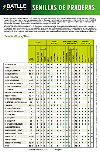 Semillas de Praderas - 1kg