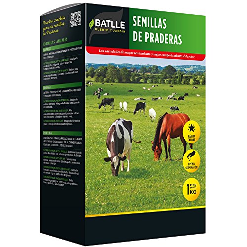 Semillas de Praderas - 1kg