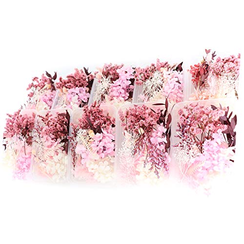 Sichuan 1 Caja de Flores secas de Mezcla Real para Resina, joyería, Plantas secas, Flor prensada