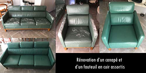 SOFOLK DEPUIS 1989 Pintura de Cuero/sintético/Ecopelle -Cuidado del Asiento del Coche y del Volante, Cuidado del sofá, del Zapato, de la Chaqueta y de Otras Prendas de Vestir - Blanco