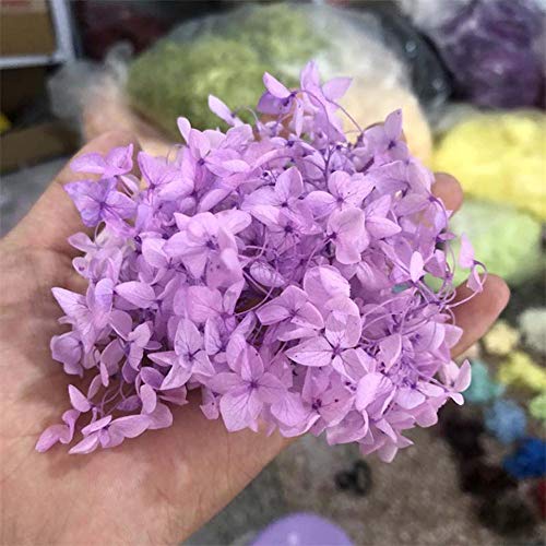 SSXCO 3 g/Lote Flores preservadas Frescas Naturales Cabeza de Flor de Hortensia Seca para Bricolaje Material de Flores de Vida eterna Real, 15