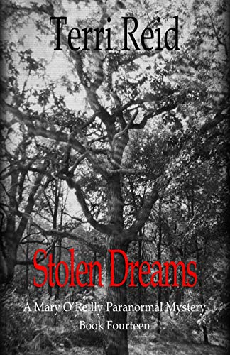 Stolen Dreams - A Mary O'Reilly Paranormal Mystery - Book Fourteen: 14 (Mary O'Reilly Series)