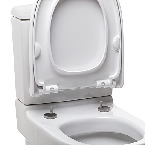 TATAY Tapa WC Universal Óptima Merida, de Termoplastico, Forma D, Caída Amortiguada, Extraible, Antibacteriano, Fácil Instalación, Blanco, Medidas 44 x 35.5 cm