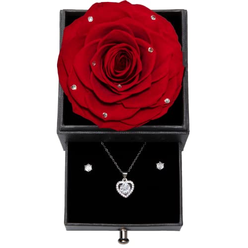 Te Amo Regalo Rosa Eterna Natural, Regalo Romántico de Flores Eterna para Ella para Regalo Aniversario San Valentín Navidad cumpleaños para Novia Esposa Madre Abuela