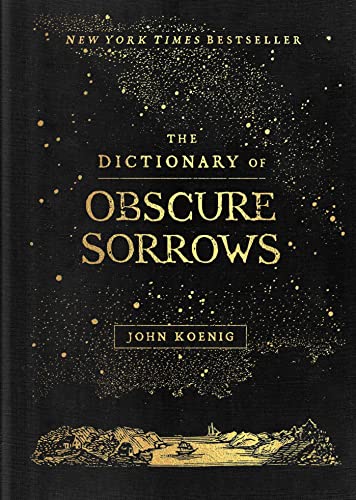 The Dictionary of Obscure Sorrows (English Edition)