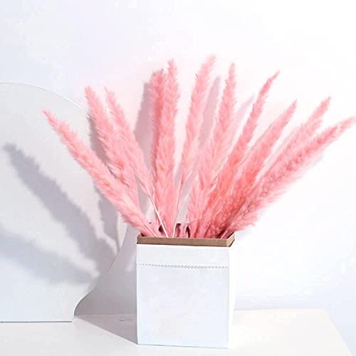 TSHAOUN 30 Piezas Naturales Pampas Secas, 43 cm Flores Secas Ramo Hierba de Pampas Grass Decoration para Boda Jarrones Hogar Oficina Fotografía de Mesa Fiesta Balcon Interior Exterior (Rosa)