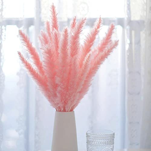 TSHAOUN 30 Piezas Naturales Pampas Secas, 43 cm Flores Secas Ramo Hierba de Pampas Grass Decoration para Boda Jarrones Hogar Oficina Fotografía de Mesa Fiesta Balcon Interior Exterior (Rosa)