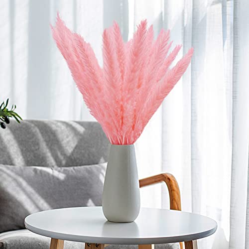 TSHAOUN 30 Piezas Naturales Pampas Secas, 43 cm Flores Secas Ramo Hierba de Pampas Grass Decoration para Boda Jarrones Hogar Oficina Fotografía de Mesa Fiesta Balcon Interior Exterior (Rosa)