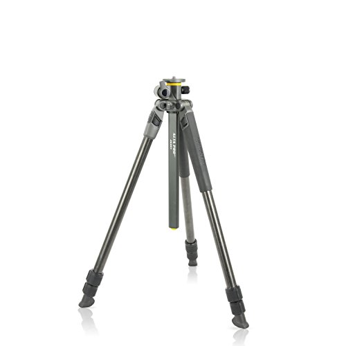 Vanguard Alta Pro 2+ 263CT - Trípode de carbono (columna central multi-ángulo 162 cm, 7 kg), color negro