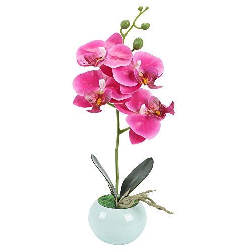 XHXSTORE Flores Artificiales de Seda de Orquídea de Rosa con Maceta Mariposa para Oficina en Casa Mesa de Comedor Dormitorio Boda Decoración de Navidad