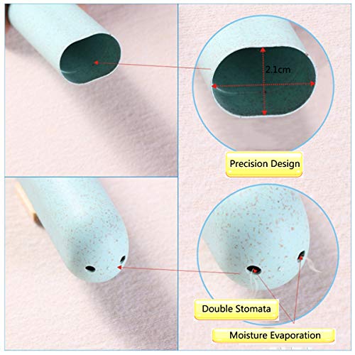 Yueser Caja Cepillo de Dientes de Viaje, 4 Piezas Portátil Antibacteriano Eco-Amigable Cepillo de Dientes Caja de Almacenamiento para Viajes Camping Escuela Vida Diaria