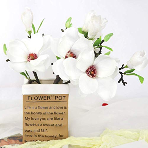 6 flores artificiales de magnolia, ramo de magnolia de tacto real para arreglos florales, magnolia de tallo largo de seda blanca con hojas verdes para decoración de oficina en el hogar