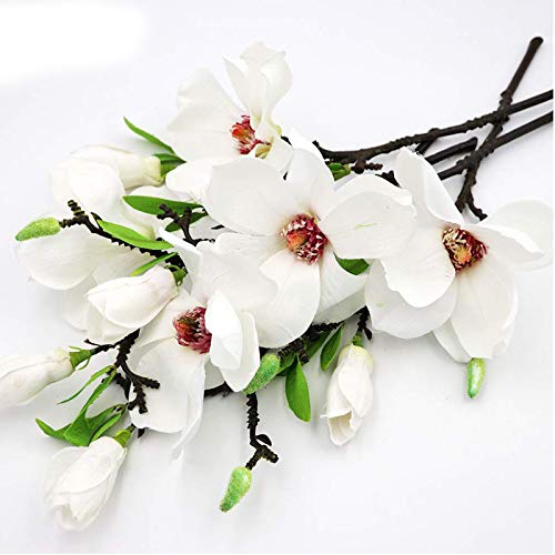 6 flores artificiales de magnolia, ramo de magnolia de tacto real para arreglos florales, magnolia de tallo largo de seda blanca con hojas verdes para decoración de oficina en el hogar