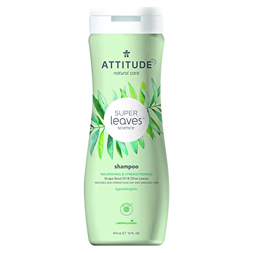 Attitude Super Leaves Champú Nutritivo y Fortalecedor