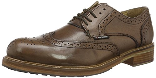 Ben Sherman Patrick B, Zapatos de Cordones Brogue para Hombre, Brown (Cow Burnish Brown), 41