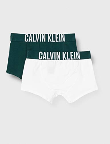 Calvin Klein Bañador Niños, Verde ( 1ponderosapine/1pvhwhite ), 12/14