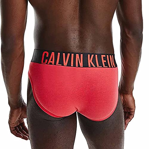 Calvin Klein Hip Brief 2pk Ropa Interior, Strawberry Shake/Blue Shadow, M para Hombre